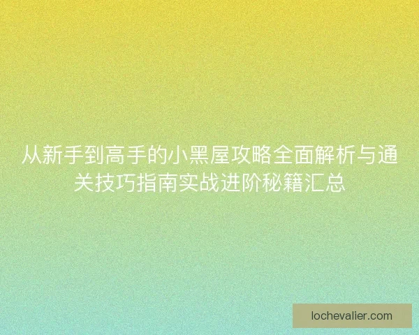 从新手到高手的小黑屋攻略全面解析与通关技巧指南实战进阶秘籍汇总